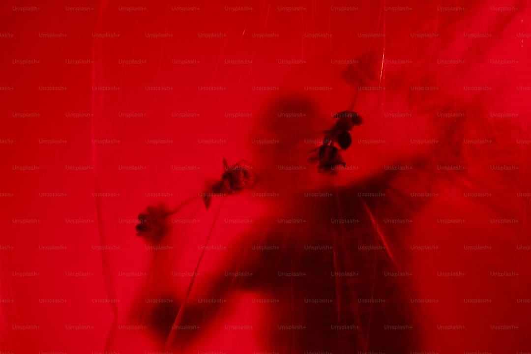 中方：已向美方提出严肃交涉